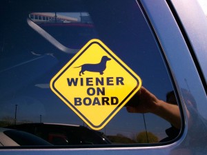 Wiener on board