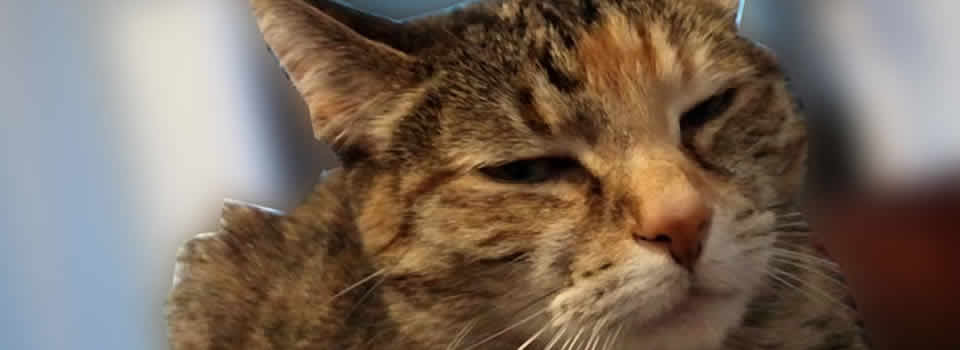 A Picture A Day – Day 11