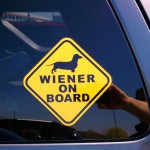 Wiener on board