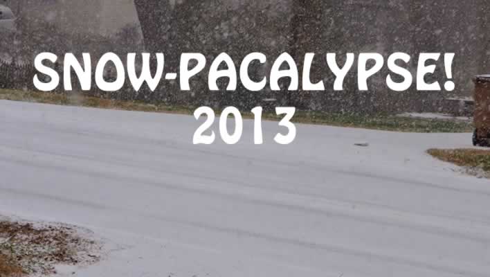 Snowpacalypse Pics
